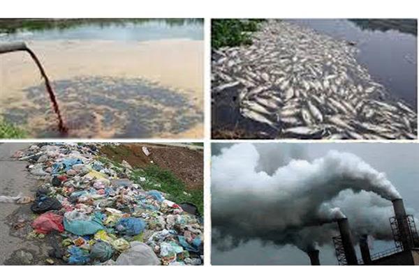 Hà Nội sẽ xử lý 71 vụ việc gây ô nhiễm môi trường